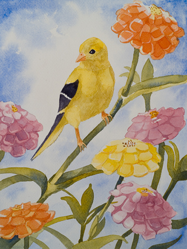 Goldfinch and Zinnias