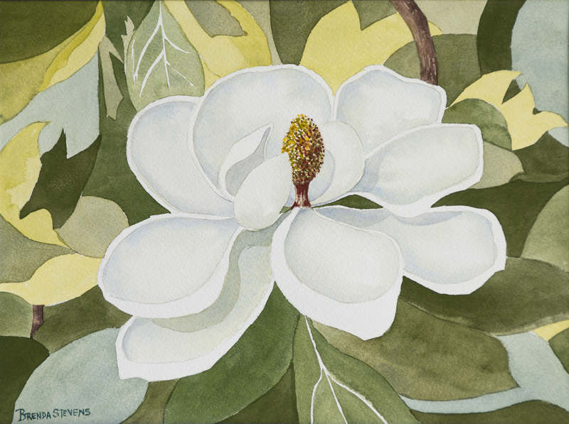 White magnolia blossom surrounded by leaves that are various shades of green